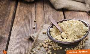 Соевый белок — польза и вред для организма женщин и мужчин