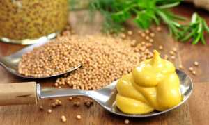 Растительный продукт горчица — польза и вред для человека