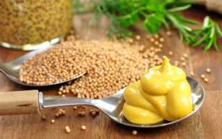 Растительный продукт горчица — польза и вред для человека