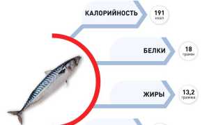 Польза скумбрии и когда она может быть опасна