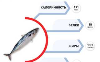 Польза скумбрии и когда она может быть опасна