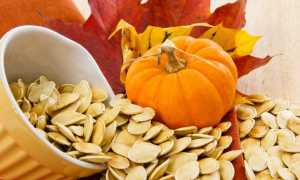 Тыквенные семечки – польза и вред корнеплода