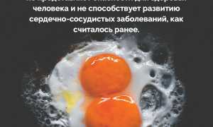 Вредный холестерин желтка