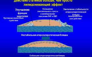 Недорогие и эффективные аналоги Аторвастатина: ТОП 5 заменителей препарата