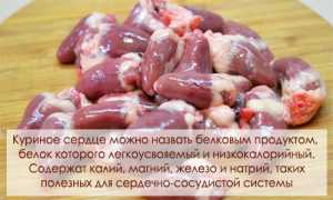 Куриные сердечки – польза и вред для организма