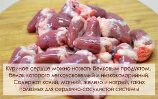 Куриные сердечки – польза и вред для организма