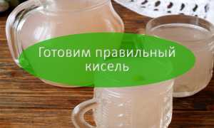 Натуральный кисель: польза и вред русского напитка