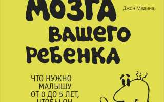 Правила развития мозга ребенка