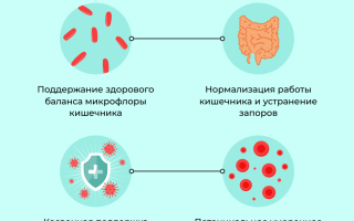Природный инулин — польза и вред уникального вещества