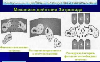 ТОП 12 дешевых аналогов препарата Вильпрафен: зарубежные и российские заменители