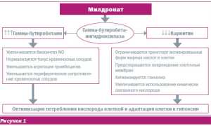 ТОП 7 аналогов препарата Милдронат: список дешевых заменителей