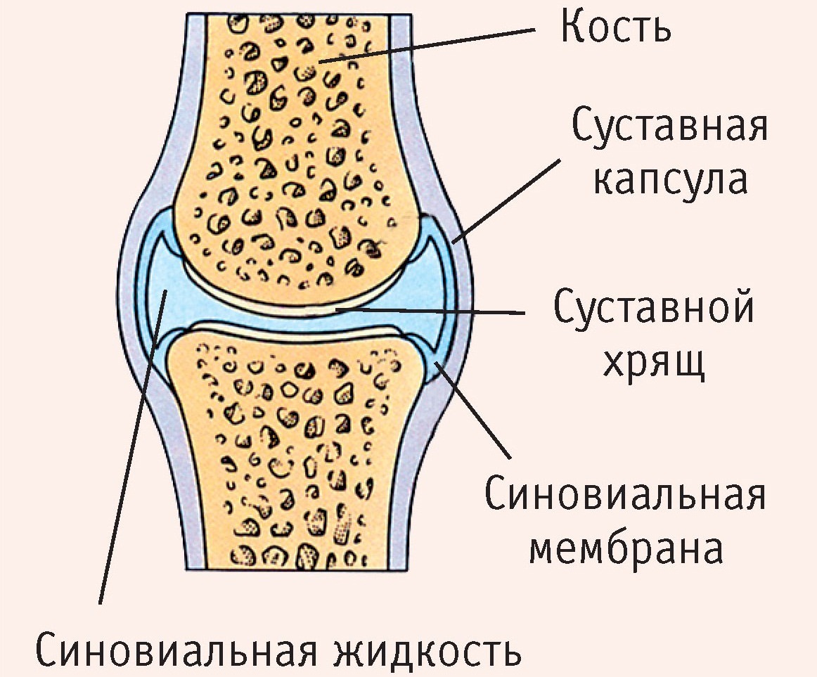 Рисунок