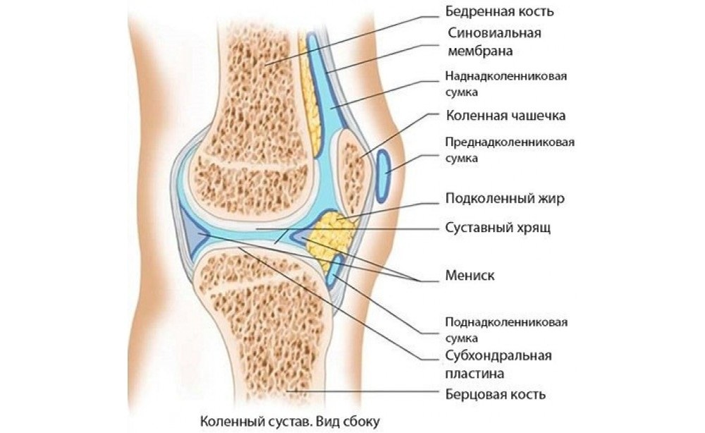 Вид сбоку