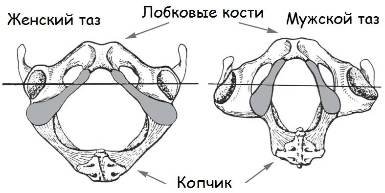 Веб-страница
