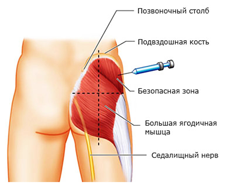 Веб-страница