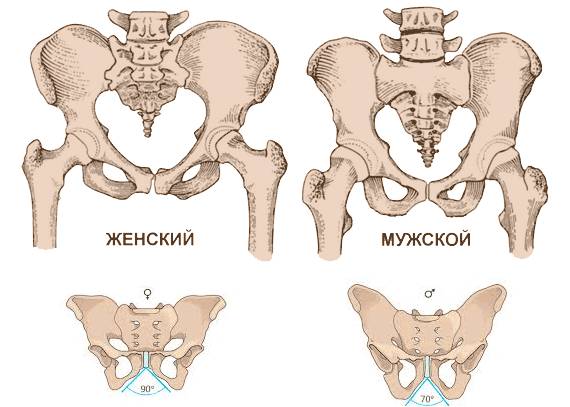 Рисунок