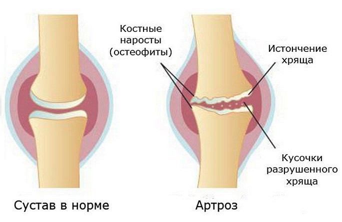 Рисунок