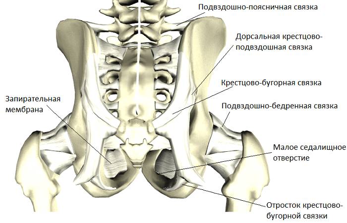 Воспаление в крестцово-подвздошном сочленении