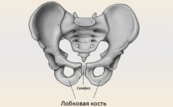 Рисунок