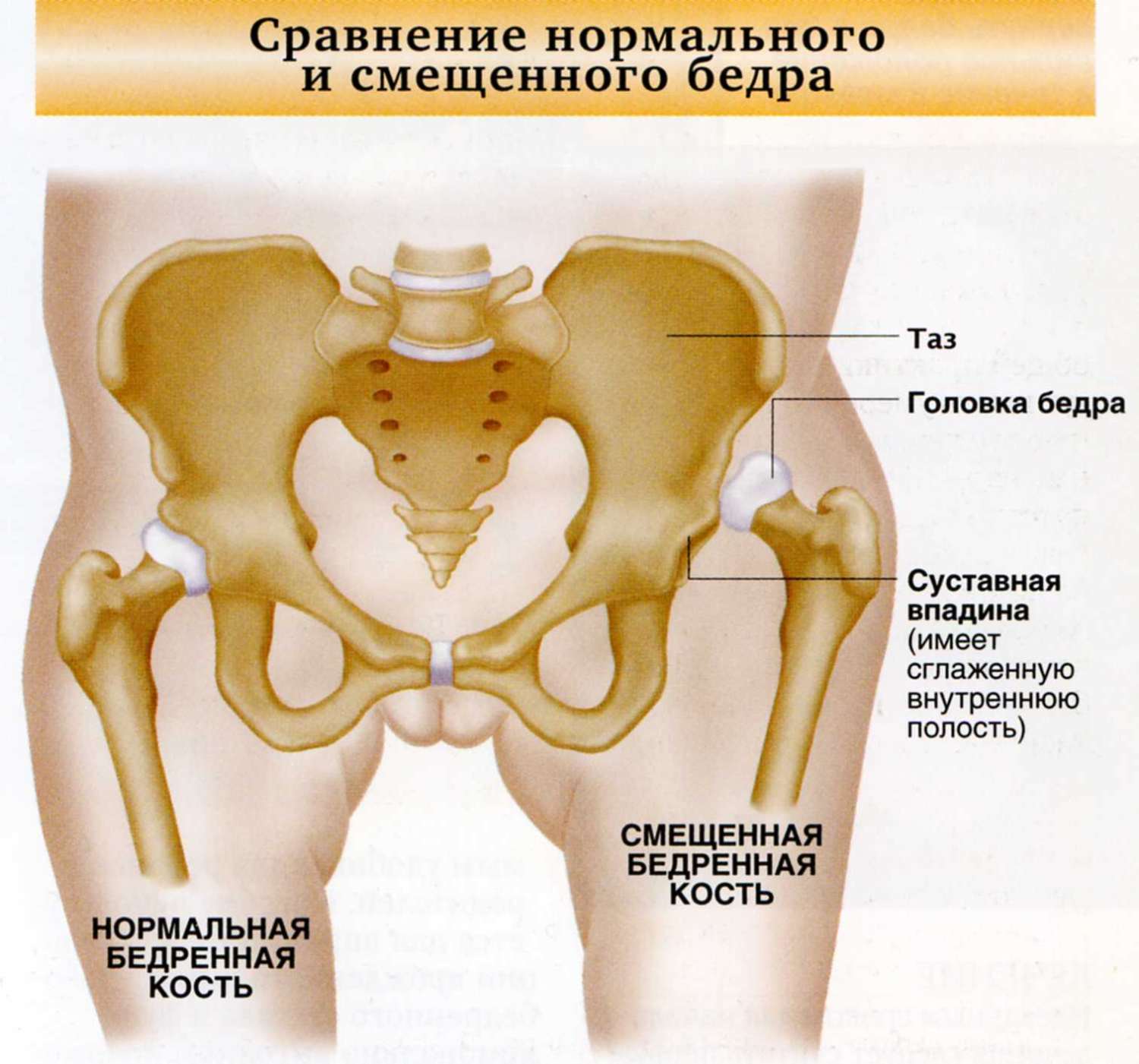 Рисунок