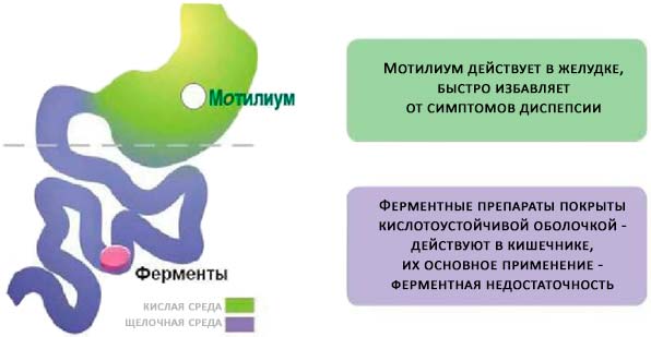 Действие Мотилиума