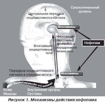 Действие нефопама