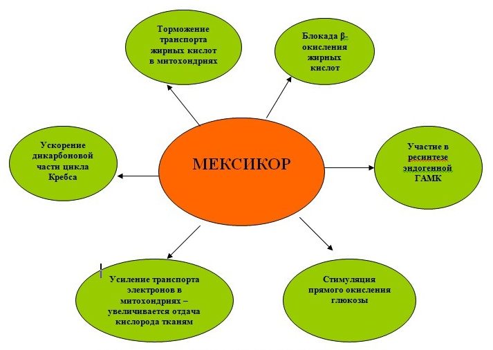 Действие Мексикора