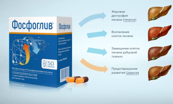 Действие препарата