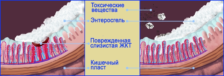 Механизм действия