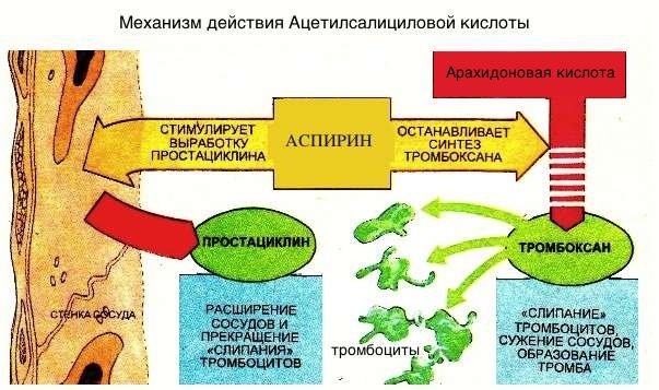 Механизм действия АСК