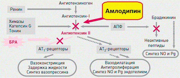 Механизм действия
