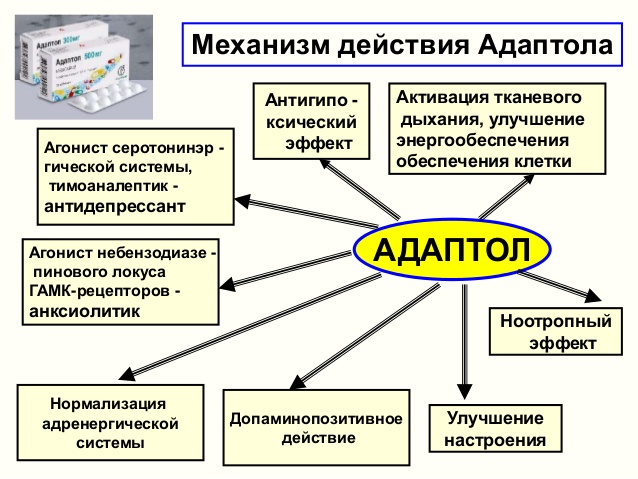Механизм действия Адаптола