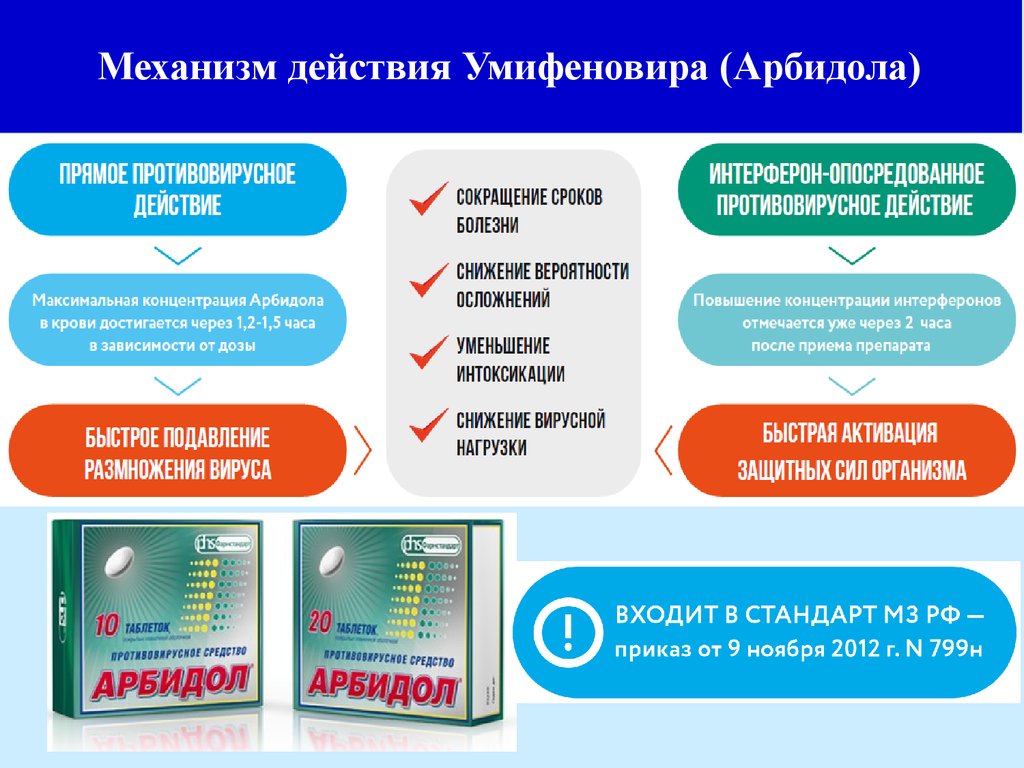Механизм действия Арбидола
