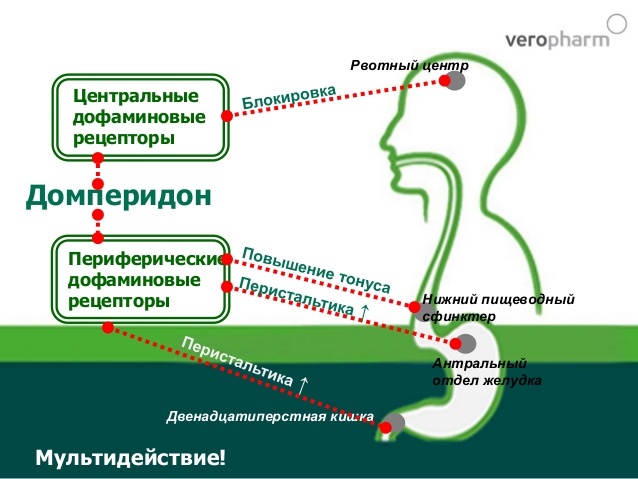 Действие Мотилака