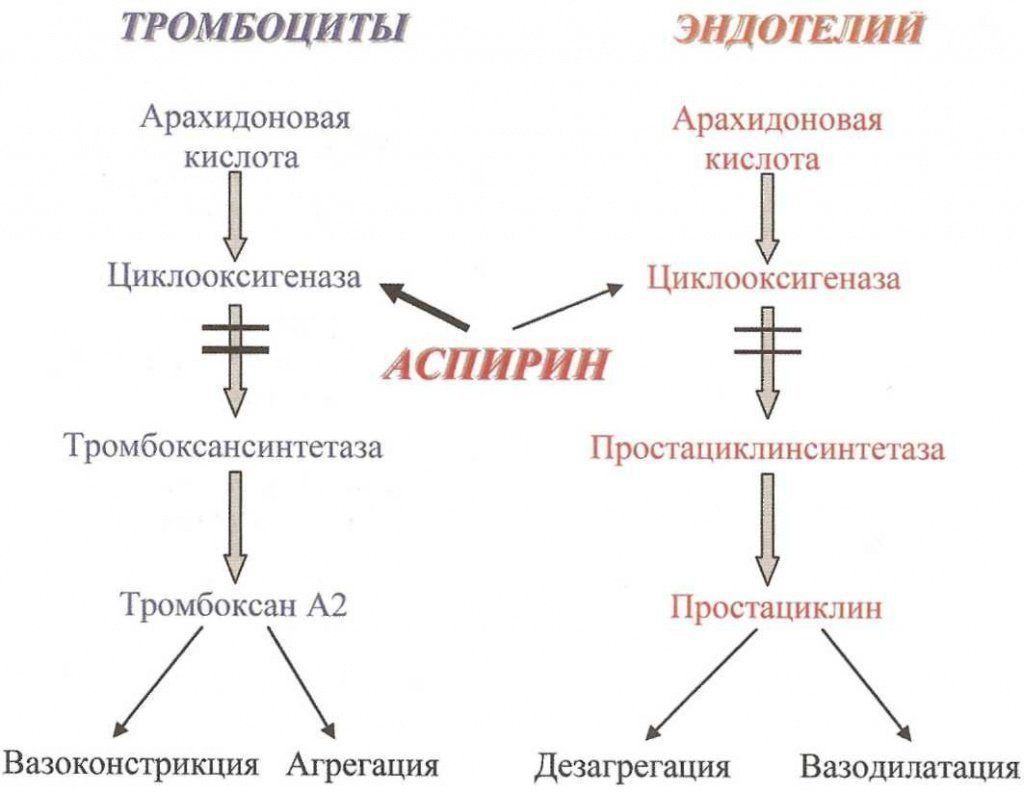 Механизмы действия аспирина