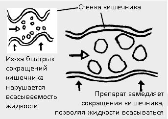 Действие Лоперамида