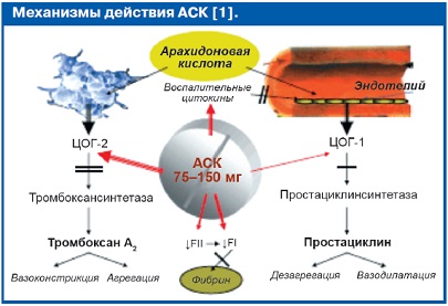 Механизм действия АСК