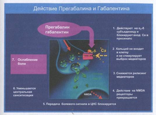 Механизм действия