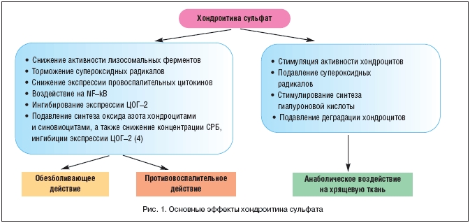 Действие хондроксида
