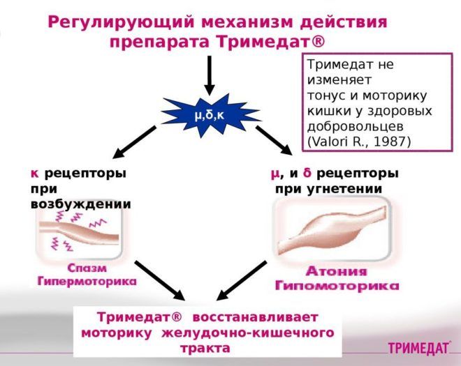 Механизм действия 
