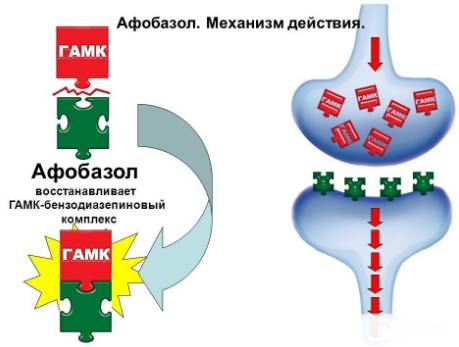 Механизм действия