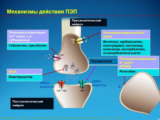 Механизмы действия противоэпилептического препарата 