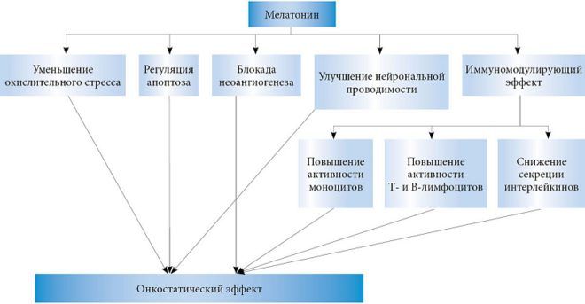 Механизмы онкостатической активности мелатонина