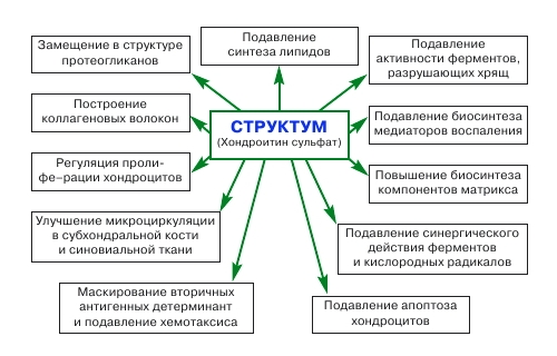 Свойства Структума