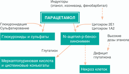 Фармакодинамика
