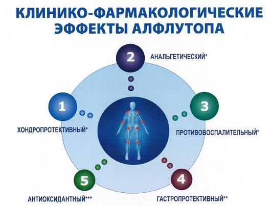 Фармакологические эффекты препарата