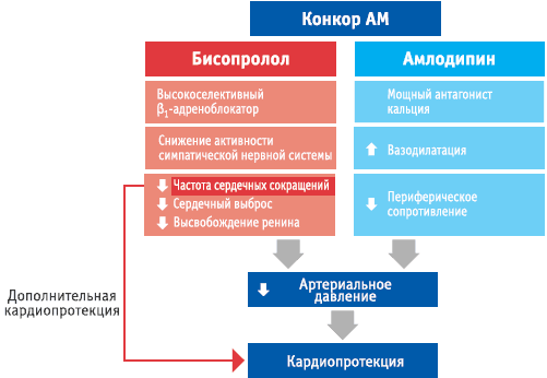 Конкор