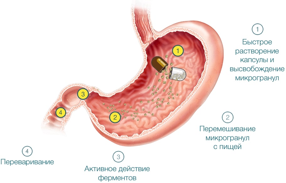 Механизм действия препарата