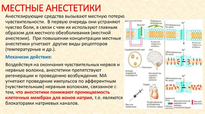 Механизм действия местных анестетиков