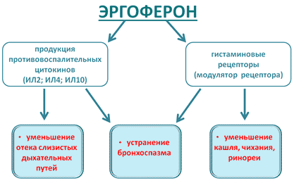 Фармакологическое действие Эргоферона